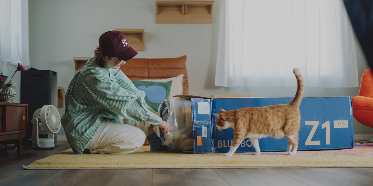 Blueboxsleep.kr